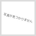 さがわ除外商品テスト