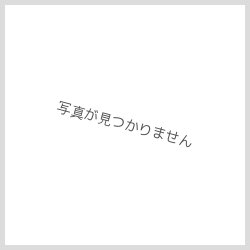 画像5: テスト商品14