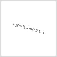 テスト商品16