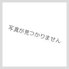 Other Images1: がま口手提げバッグ