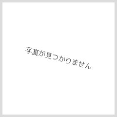 テスト商品12