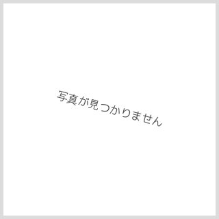 レビュー16-投稿画像1